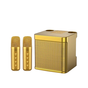 Wireless Karaoke Speaker with 2 Wireless Microphone