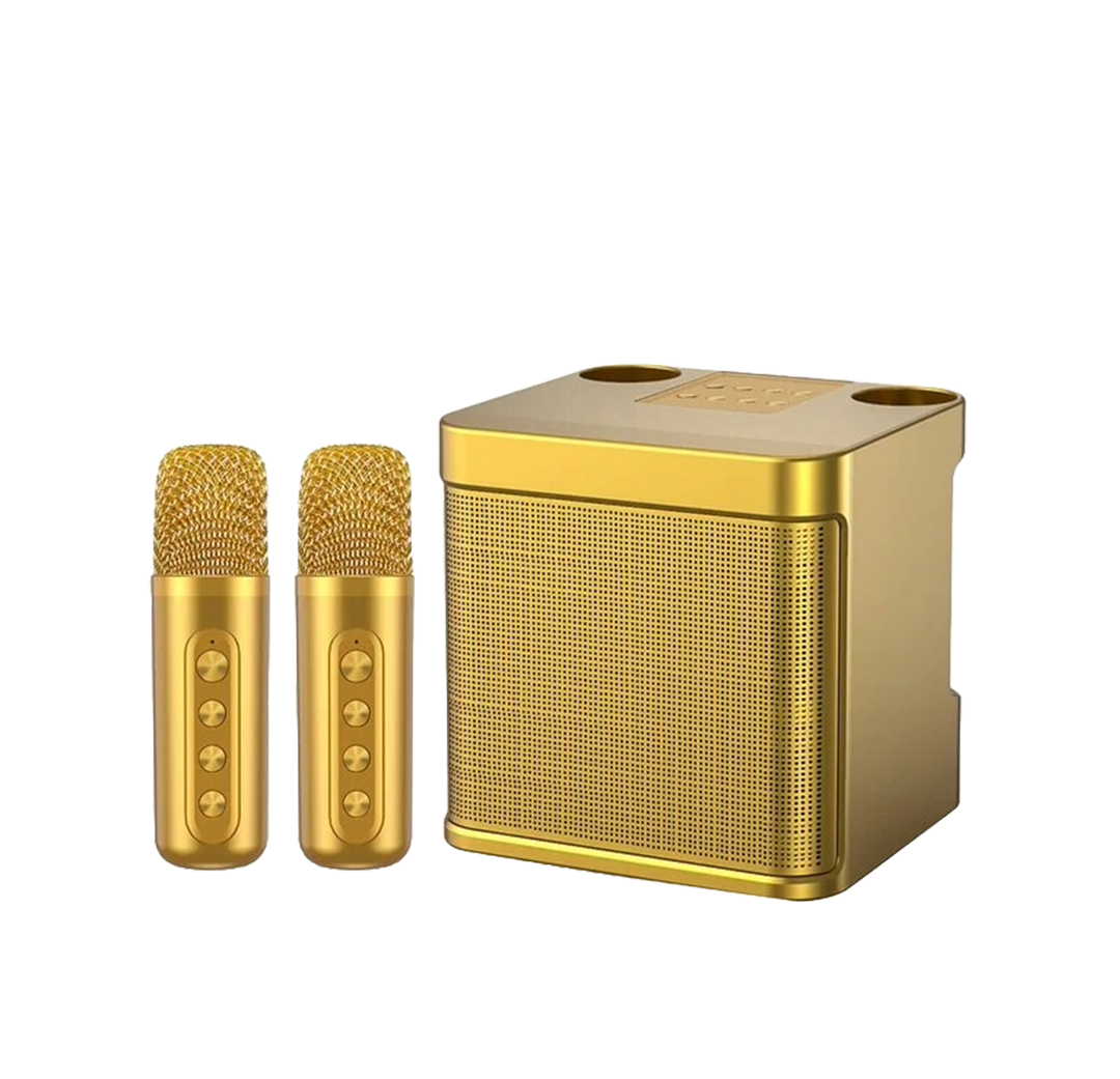 Wireless Karaoke Speaker with 2 Wireless Microphone
