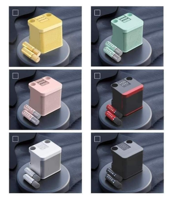 Wireless Karaoke Speaker with 2 Wireless Microphone - Image 4